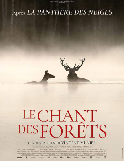 Le chant des forêts un film de Vincent Munier